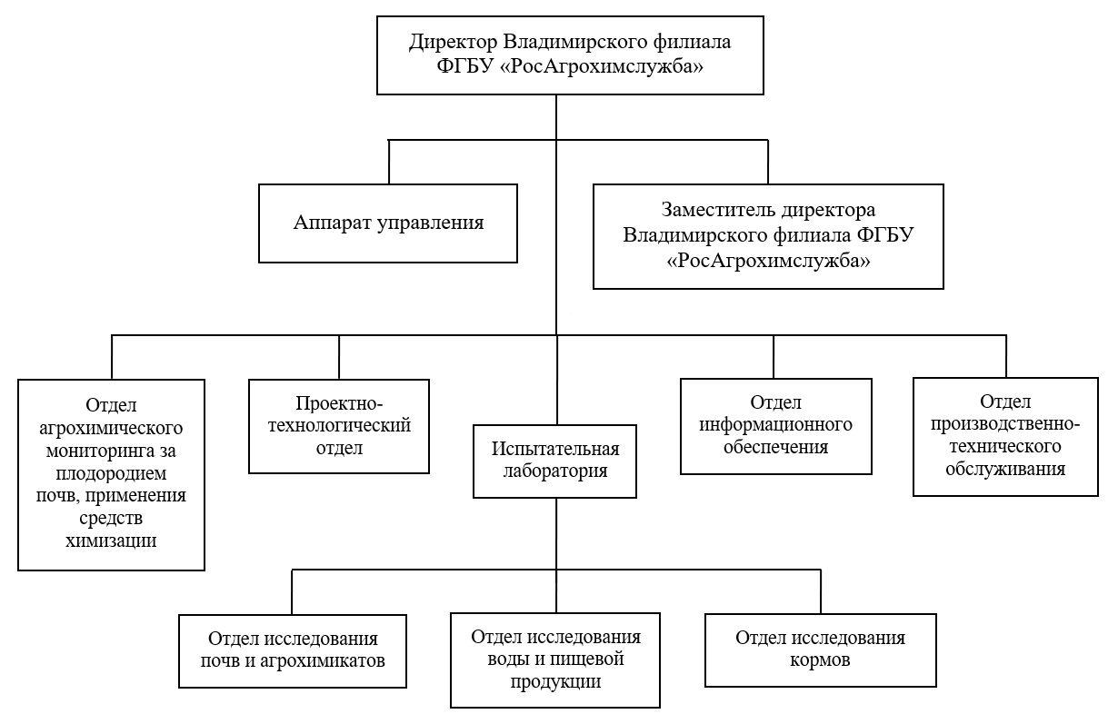 структура.jpg